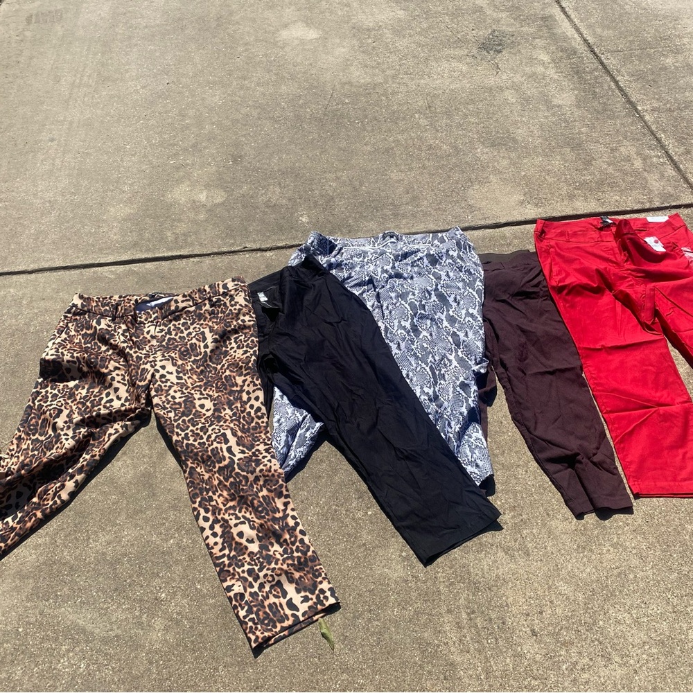 Lot of Plus Size Stylish Pants - Leopard, Black, Snake, Red, Burgundy